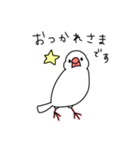 気になる文鳥（個別スタンプ：1）