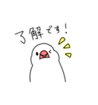 気になる文鳥（個別スタンプ：4）