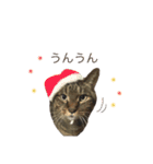おれれお Part2（個別スタンプ：4）