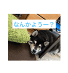 野球大好きラッキー君（個別スタンプ：3）