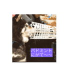 野球大好きラッキー君（個別スタンプ：4）