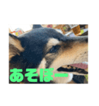 野球大好きラッキー君（個別スタンプ：8）