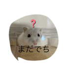 ふくみスタンプ☆でちでちー（個別スタンプ：2）