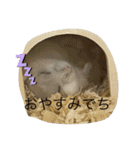 ふくみスタンプ☆でちでちー（個別スタンプ：3）