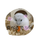 ふくみスタンプ☆でちでちー（個別スタンプ：4）