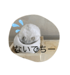ふくみスタンプ☆でちでちー（個別スタンプ：5）