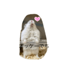 ふくみスタンプ☆でちでちー（個別スタンプ：7）