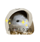 ふくみスタンプ☆でちでちー（個別スタンプ：8）