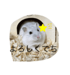 ふくみスタンプ☆でちでちー（個別スタンプ：9）