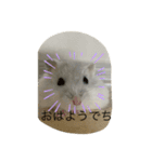 ふくみスタンプ☆でちでちー（個別スタンプ：10）