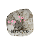 ふくみスタンプ☆でちでちー（個別スタンプ：11）