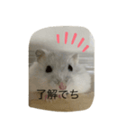 ふくみスタンプ☆でちでちー（個別スタンプ：12）