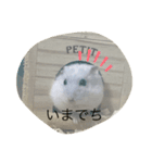 ふくみスタンプ☆でちでちー（個別スタンプ：15）