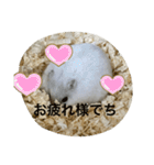 ふくみスタンプ☆でちでちー（個別スタンプ：16）