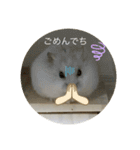 ふくみスタンプ☆でちでちー（個別スタンプ：17）
