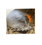 ふくみスタンプ☆でちでちー（個別スタンプ：19）