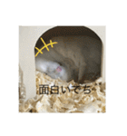ふくみスタンプ☆でちでちー（個別スタンプ：20）