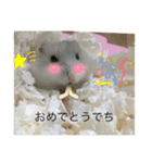 ふくみスタンプ☆でちでちー（個別スタンプ：21）