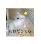ふくみスタンプ☆でちでちー（個別スタンプ：22）