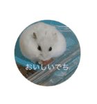ふくみスタンプ☆でちでちー（個別スタンプ：23）