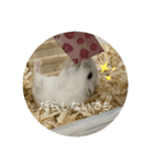 ふくみスタンプ☆でちでちー（個別スタンプ：24）