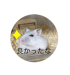 ふくみスタンプ☆でちでちー（個別スタンプ：26）