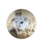 ふくみスタンプ☆でちでちー（個別スタンプ：27）