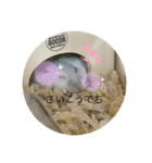 ふくみスタンプ☆でちでちー（個別スタンプ：28）