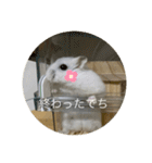 ふくみスタンプ☆でちでちー（個別スタンプ：31）