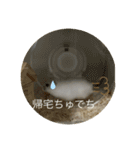 ふくみスタンプ☆でちでちー（個別スタンプ：32）