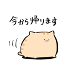 にわねこ連絡（個別スタンプ：5）