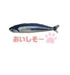 うちのMARU2。（個別スタンプ：26）