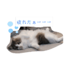 リオレオスタンプ♡（個別スタンプ：2）