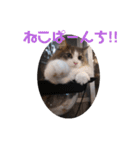 リオレオスタンプ♡（個別スタンプ：13）