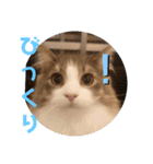 リオレオスタンプ♡（個別スタンプ：14）