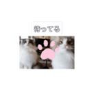リオレオスタンプ♡（個別スタンプ：18）