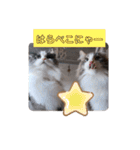 リオレオスタンプ♡（個別スタンプ：19）