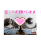 リオレオスタンプ♡（個別スタンプ：20）