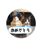 リオレオスタンプ♡（個別スタンプ：26）
