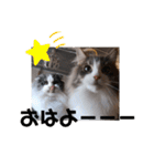 リオレオスタンプ♡（個別スタンプ：28）