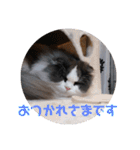 リオレオスタンプ♡（個別スタンプ：33）