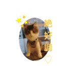 リオレオスタンプ♡（個別スタンプ：35）