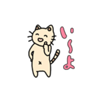 す〜きゃっと（個別スタンプ：1）