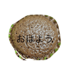 ケーキだよ（個別スタンプ：1）