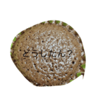 ケーキだよ（個別スタンプ：6）
