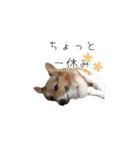 ハッピー＆メイラ（個別スタンプ：5）