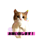 敬語のナッツ（個別スタンプ：2）