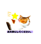 敬語のナッツ（個別スタンプ：14）