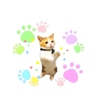 敬語のナッツ（個別スタンプ：15）