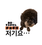 黒わんこバビくん  韓国語ver2（個別スタンプ：15）